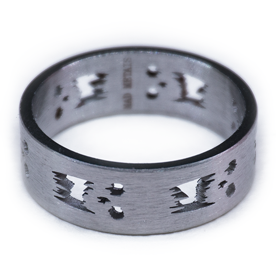 Heimsuchung Ring